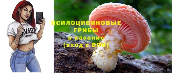 а пвп мука Бугульма